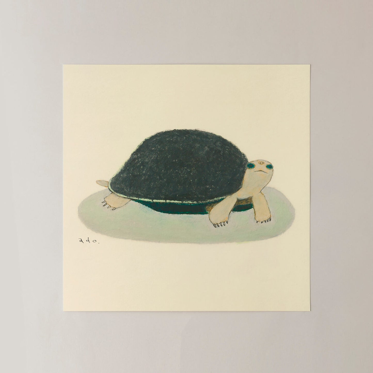 カメ