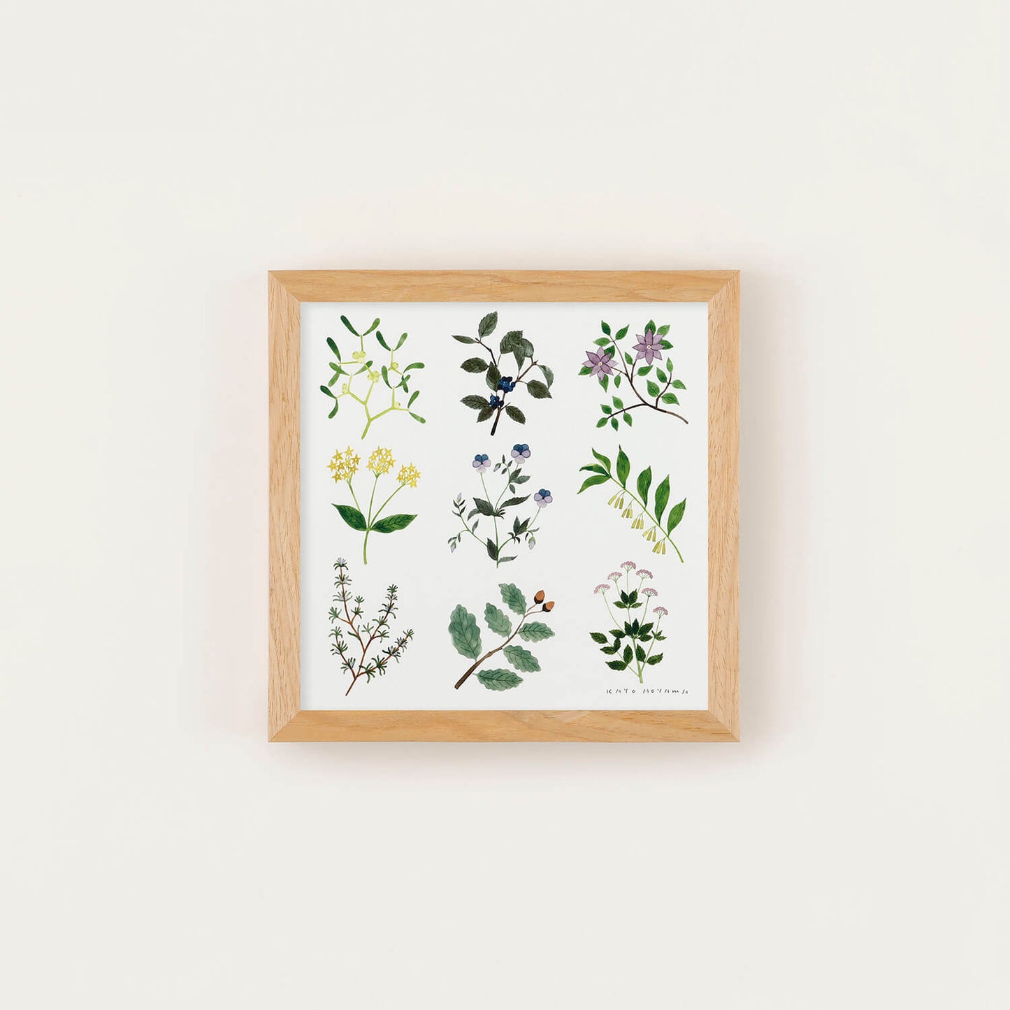 PLANTS(プランツ) フレームセット