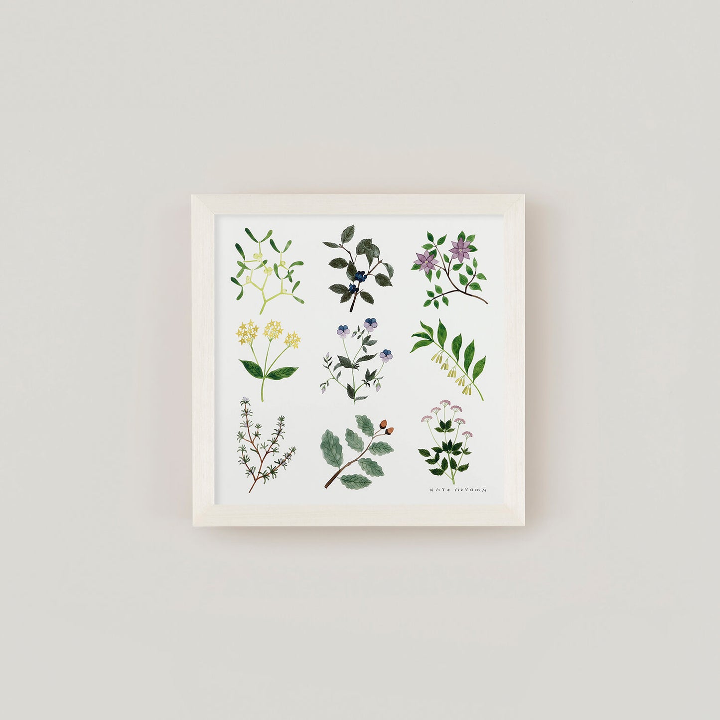 PLANTS(プランツ) フレームセット