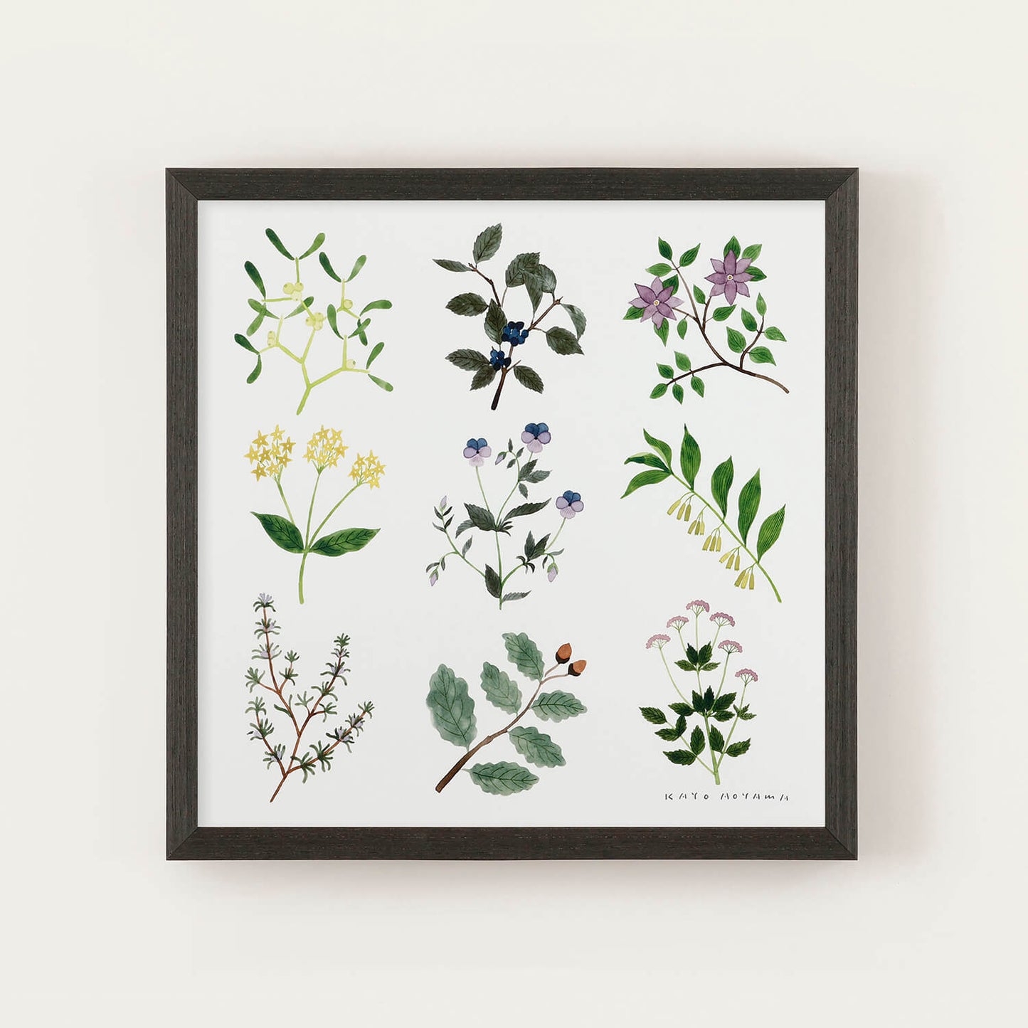 PLANTS(プランツ) フレームセット