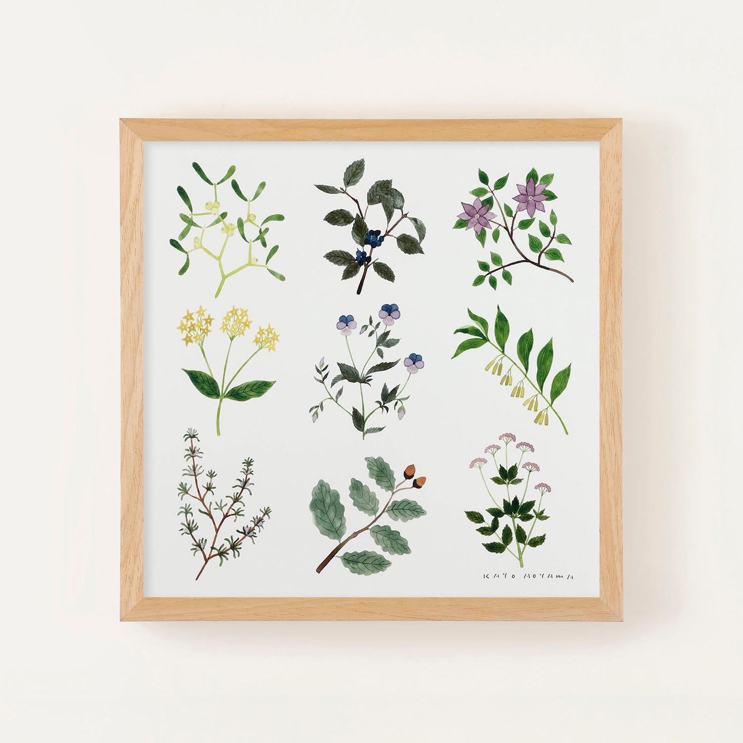 PLANTS(プランツ) フレームセット