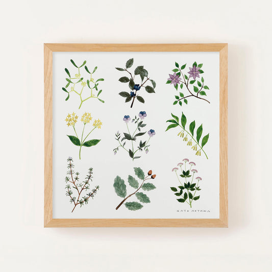 PLANTS(プランツ) フレームセット