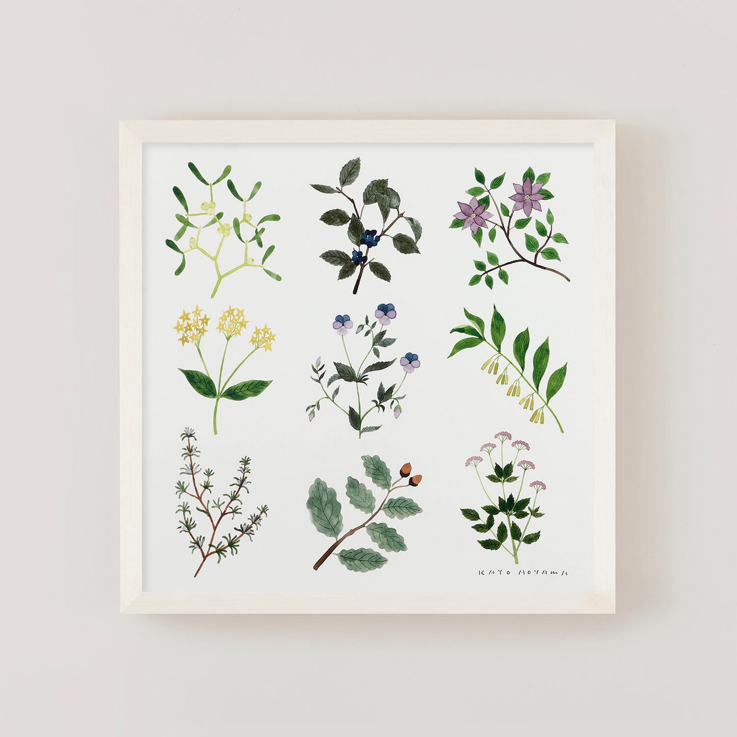 PLANTS(プランツ) フレームセット