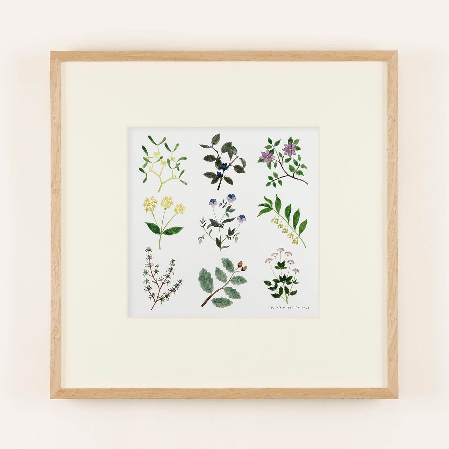 PLANTS(プランツ) フレーム50+額装マット付き