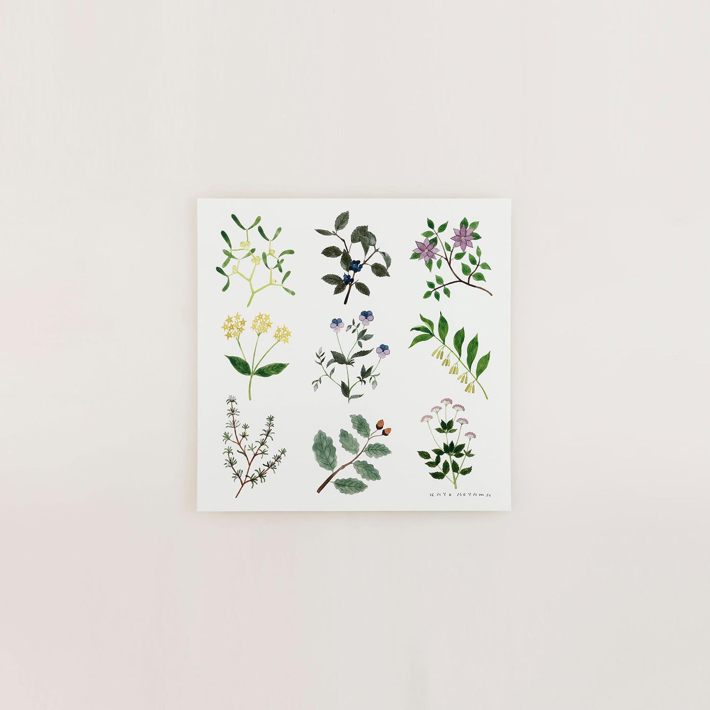 PLANTS(プランツ)