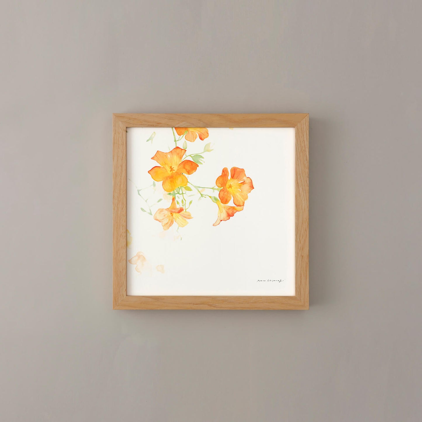 CAMPSIS(カンプシス)orange フレームセット