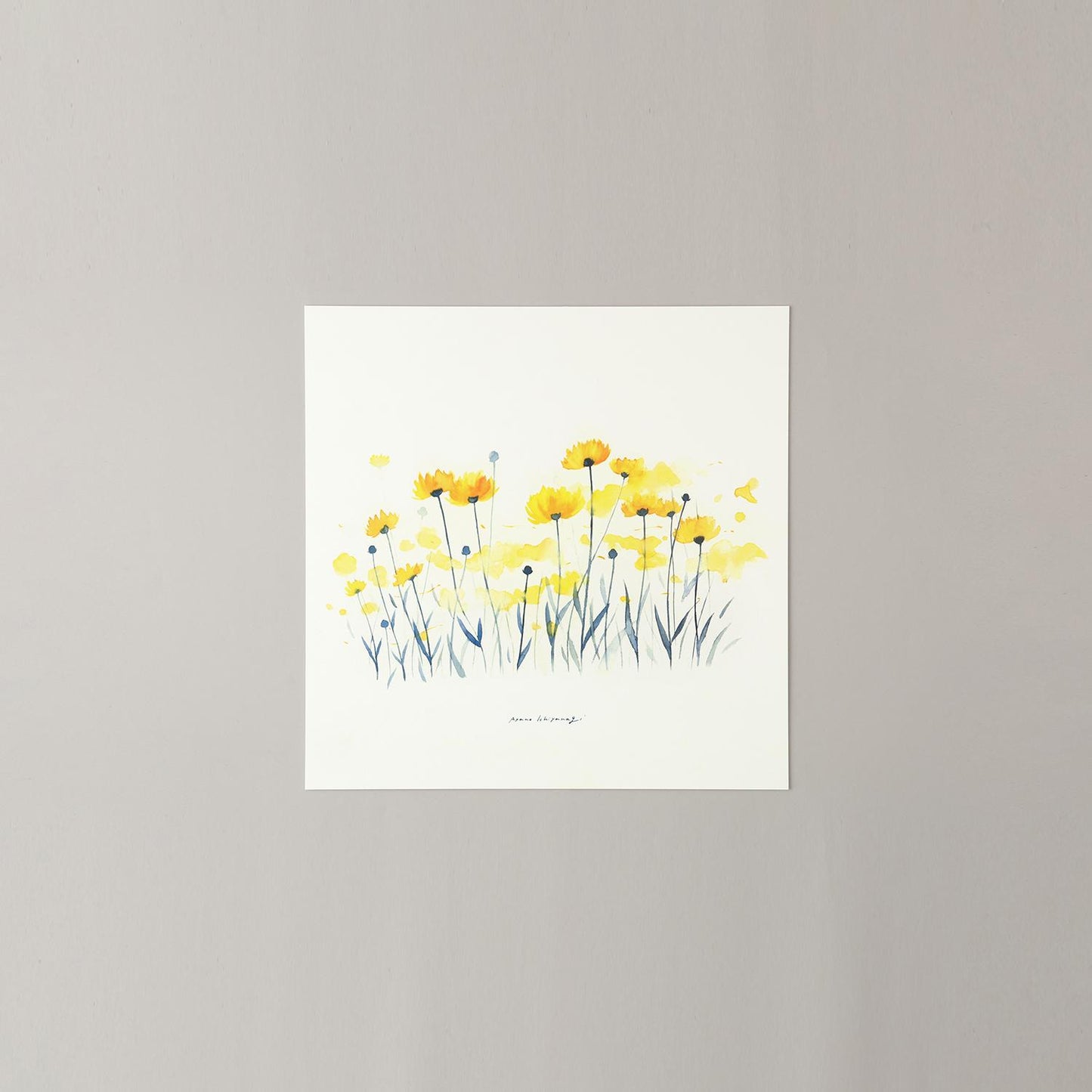 COREOPSIS(コレオプシス)yellow