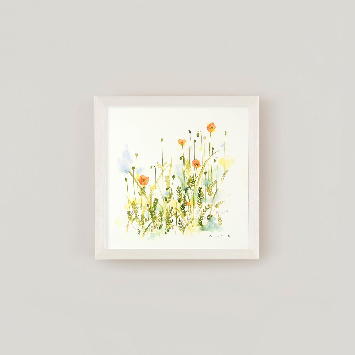 WILDFLOWERS(ワイルドフラワー)vermillion フレームセット