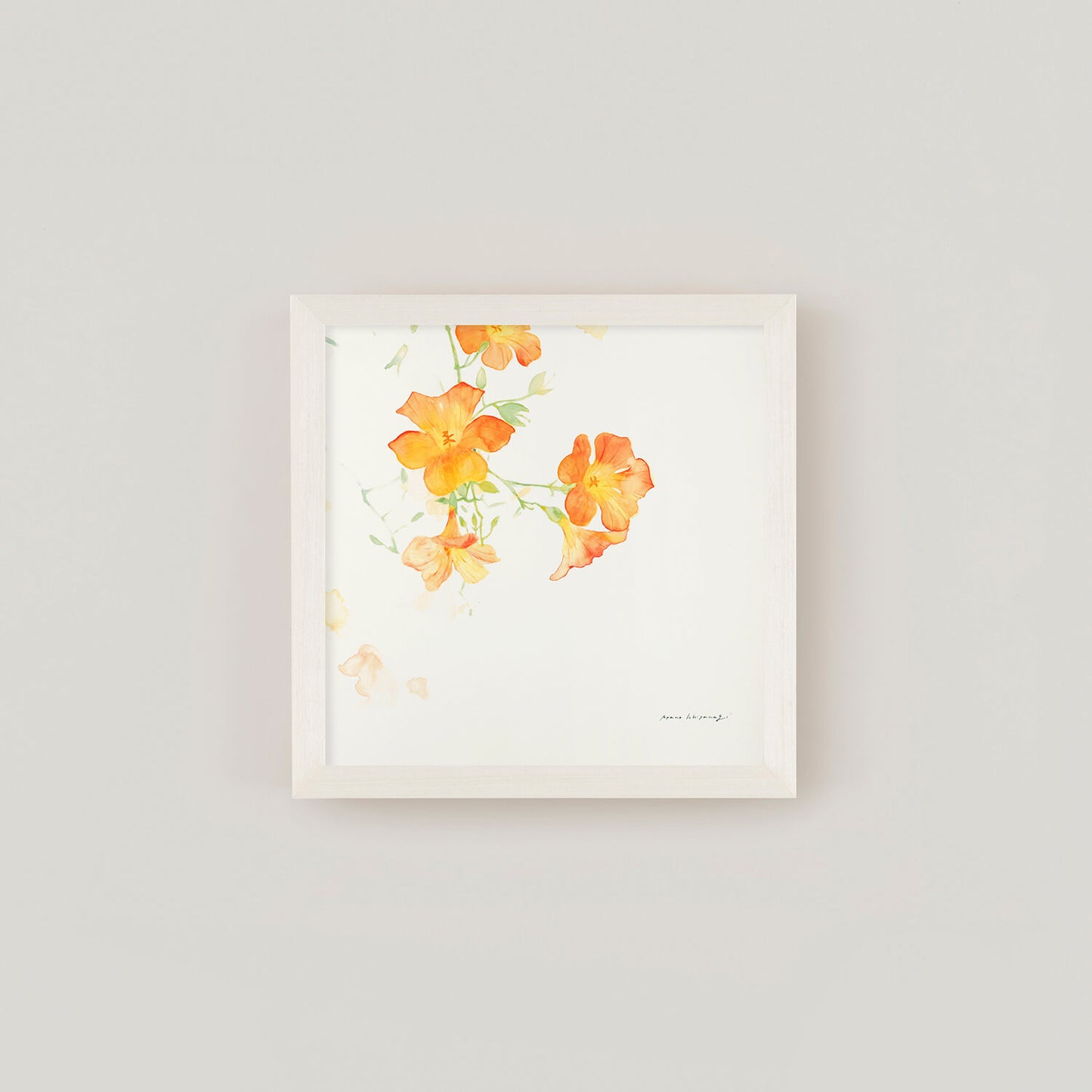 CAMPSIS(カンプシス)orange フレームセット