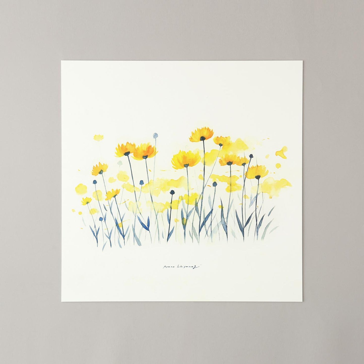 COREOPSIS(コレオプシス)yellow