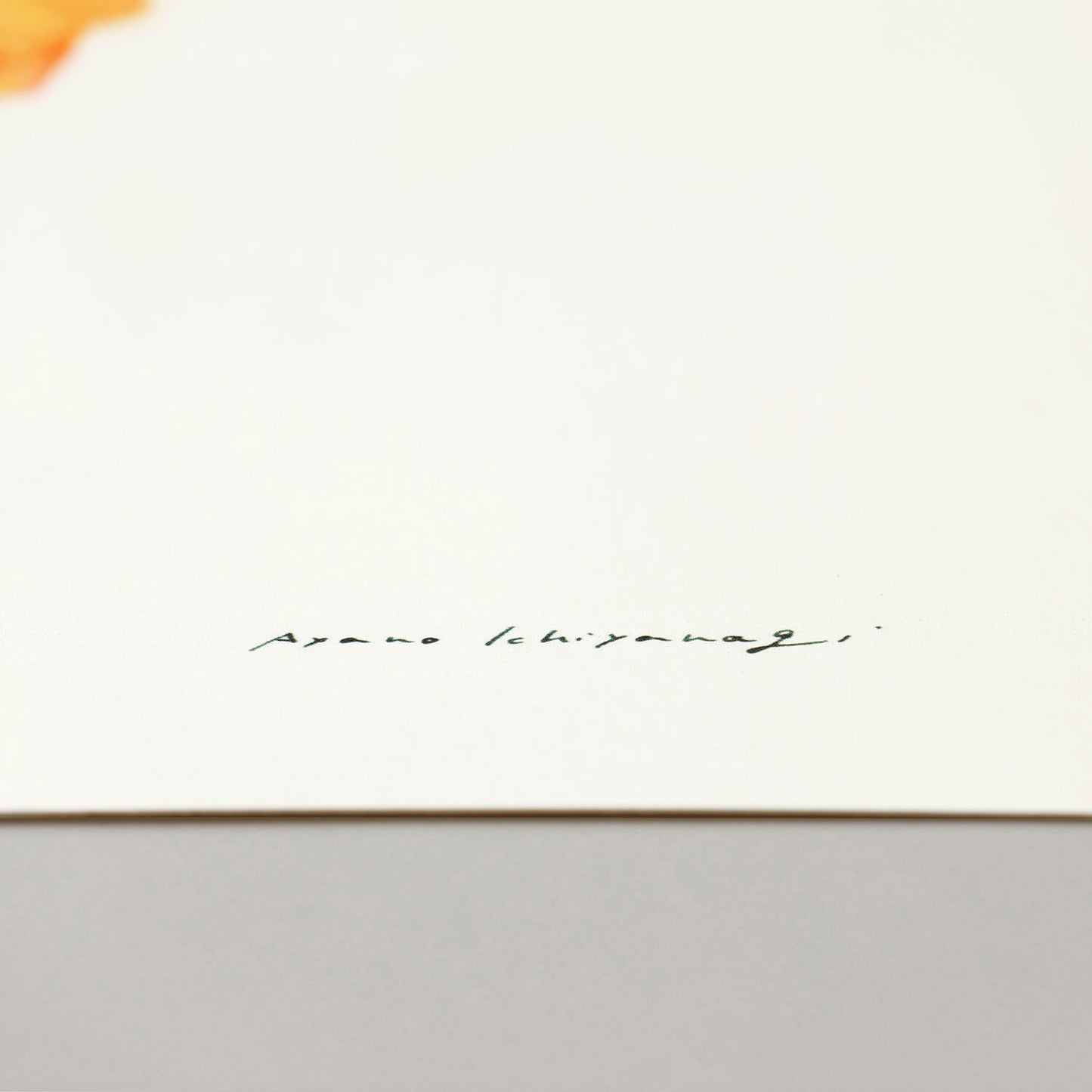 CAMPSIS(カンプシス)orange