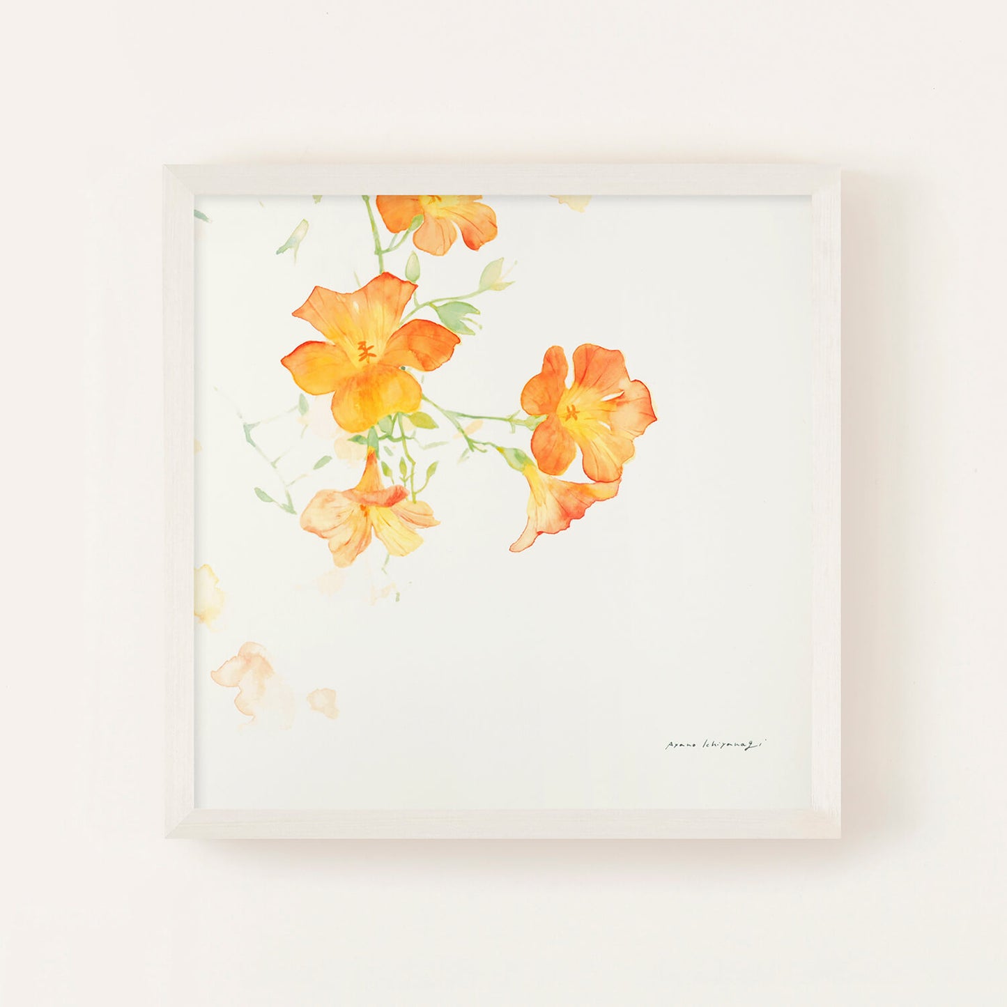 CAMPSIS(カンプシス)orange フレームセット