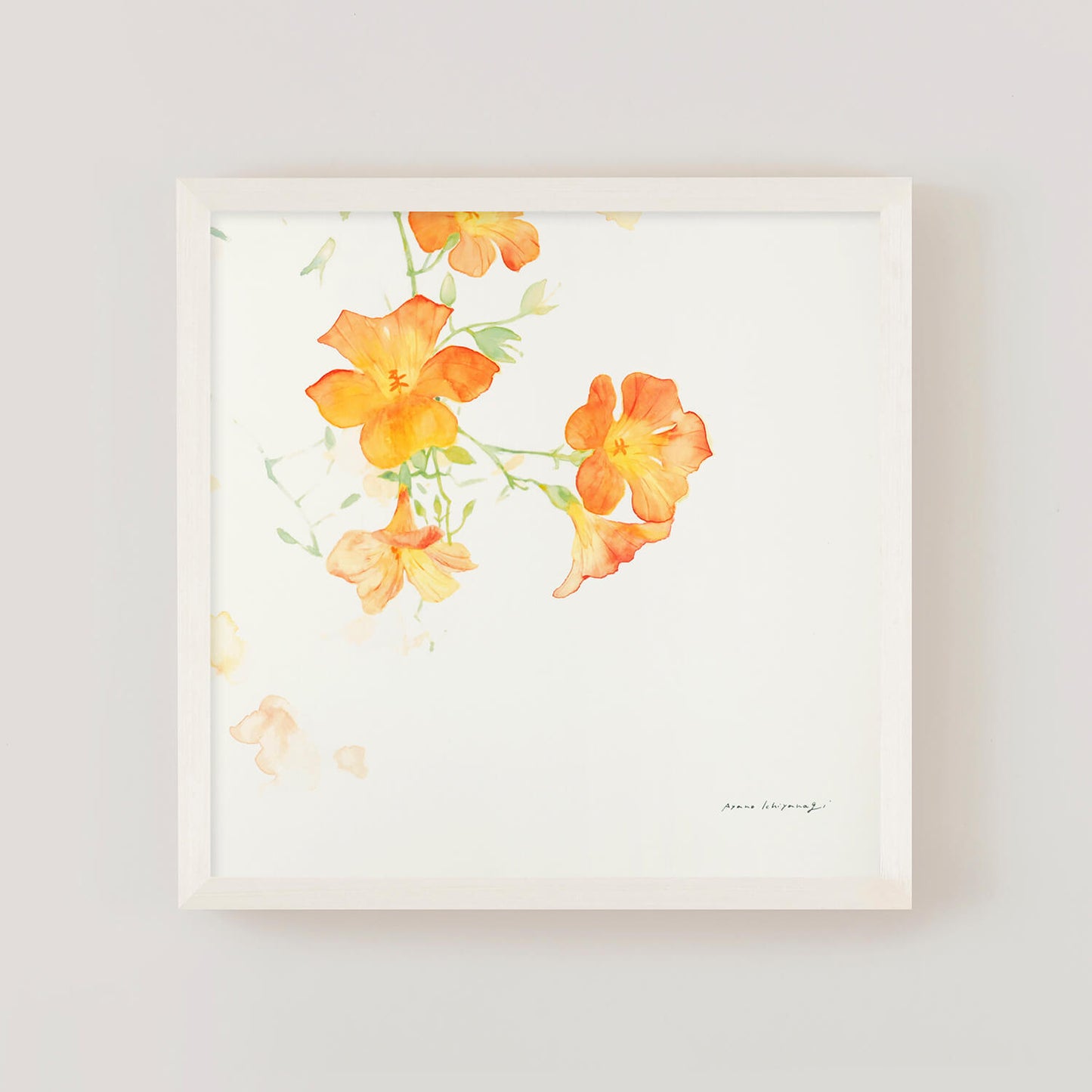 CAMPSIS(カンプシス)orange フレームセット