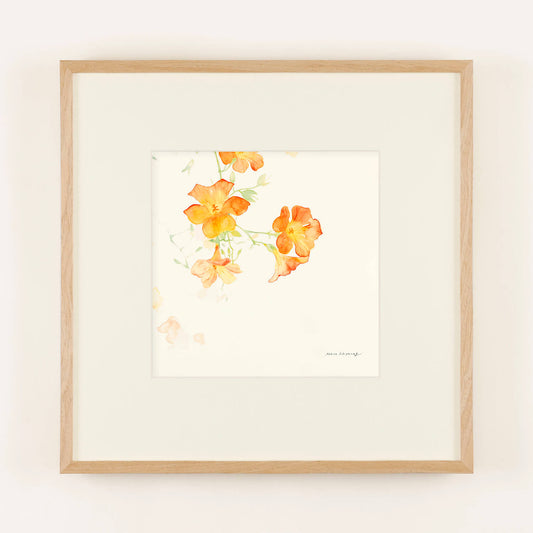 CAMPSIS (orange) frame 50+ with matting and framing.