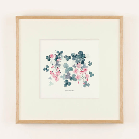 OXALIS (Oxalis) violet frame 50+ with framed mat.