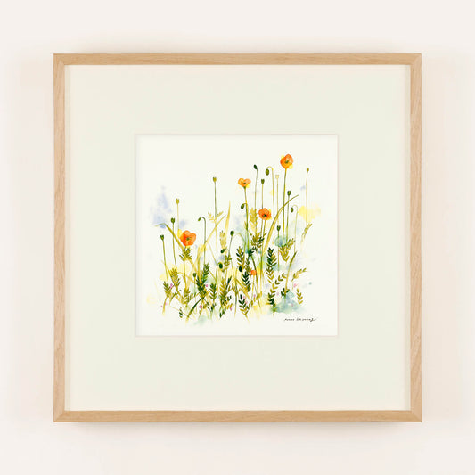 WILDFLOWERS (Wildflower) vermillion frame 50+ with framed mat.
