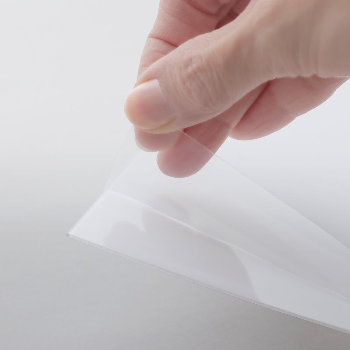 BIRD(バード)blue フレームセットアートポスター フレームセット