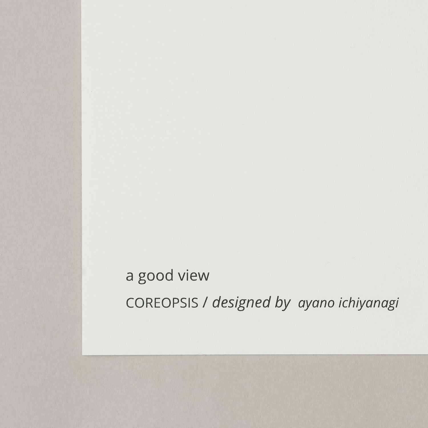 COREOPSIS(コレオプシス)yellow フレームセット - a good view