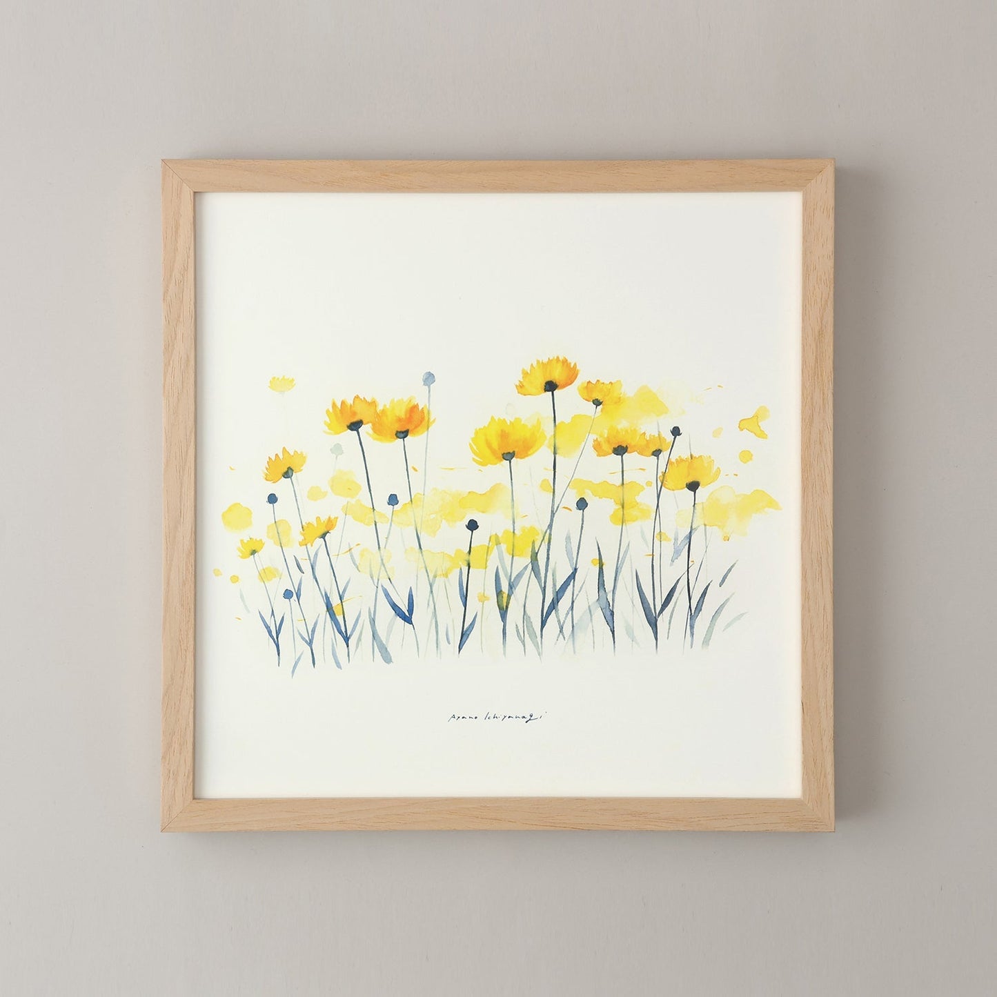 COREOPSIS(コレオプシス)yellow フレームセット - a good view