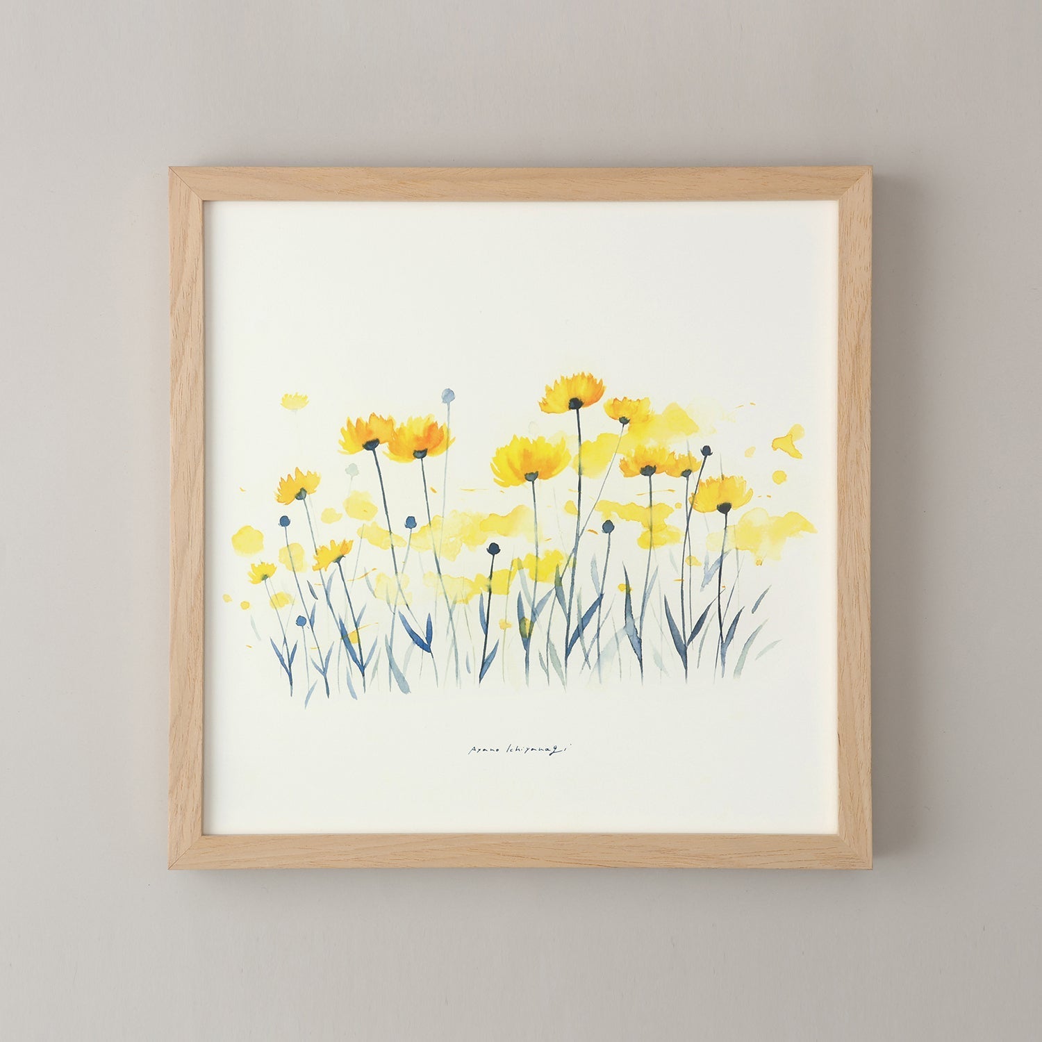 COREOPSIS(コレオプシス)yellow フレームセット - a good view