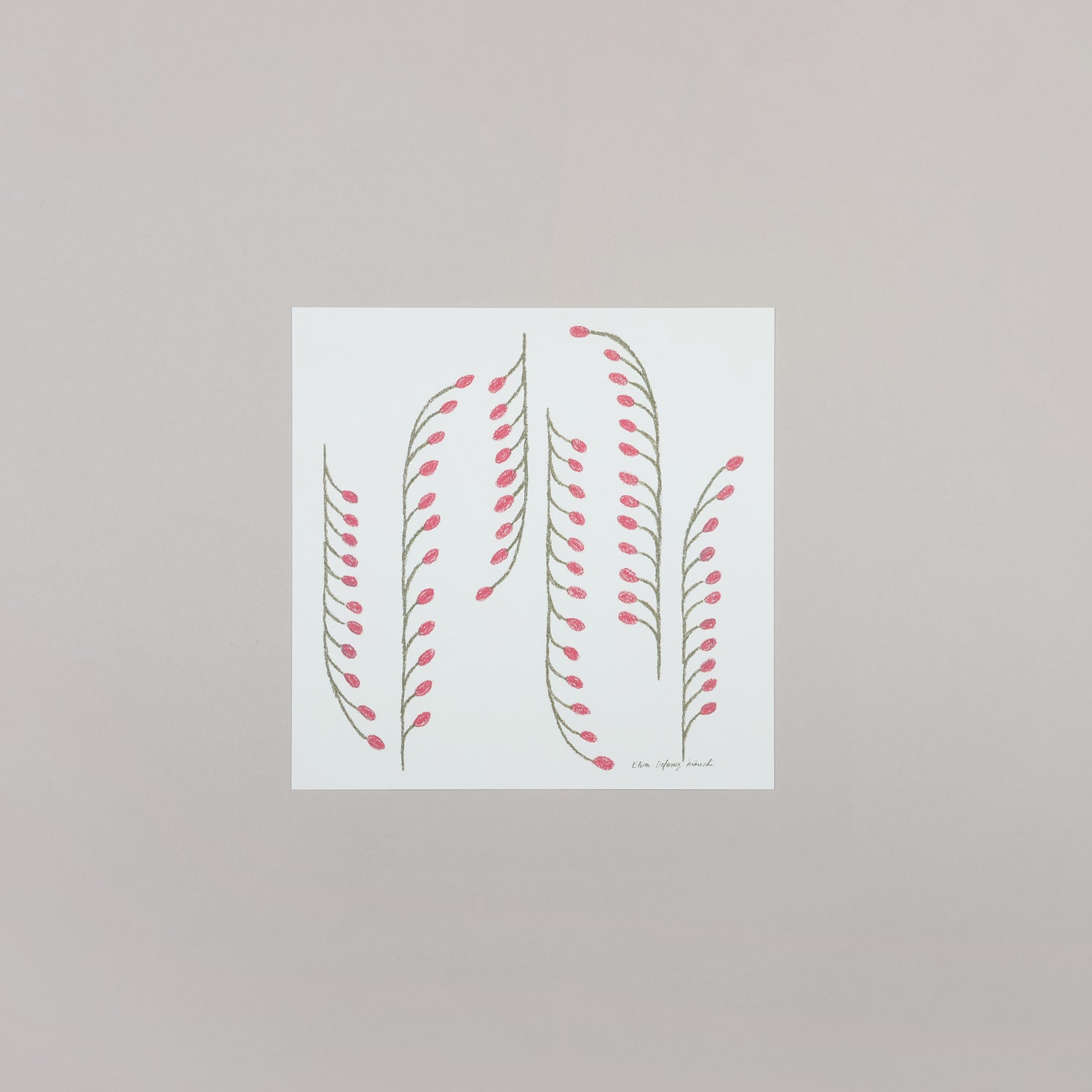 dream plants(ドリームプランツ)pink - a good view