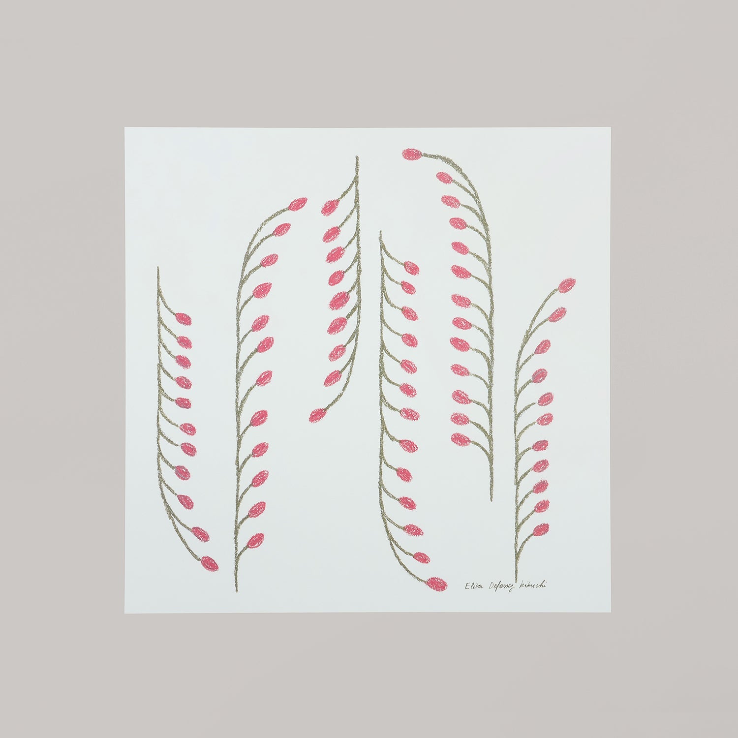 dream plants(ドリームプランツ)pink - a good view