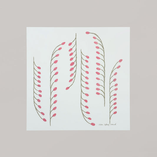 dream plants(ドリームプランツ)pink - a good view