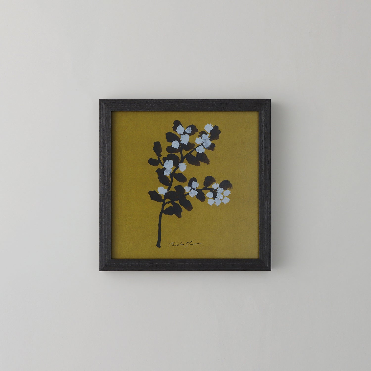 mimosa(ミモザ)brown フレームセット - a good view