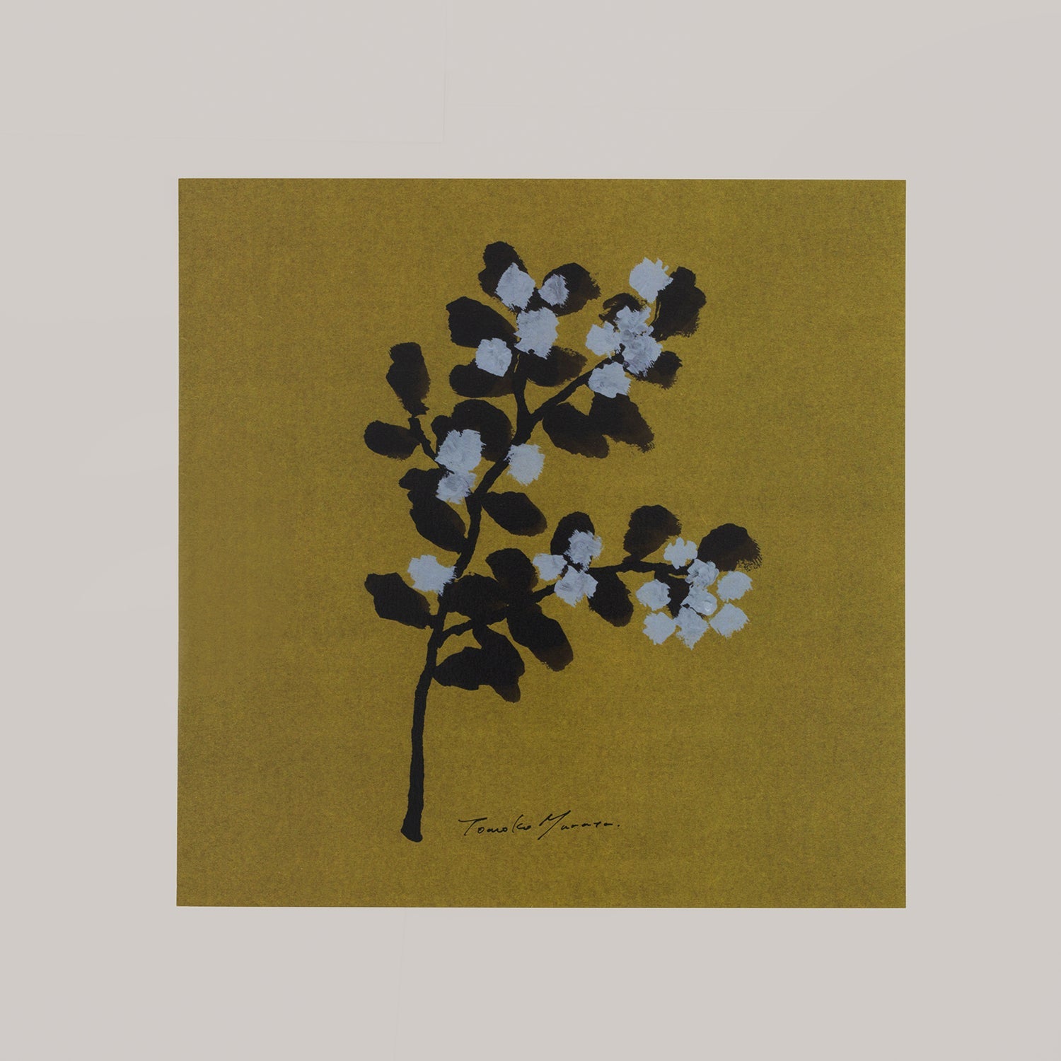 mimosa(ミモザ)brown - a good view