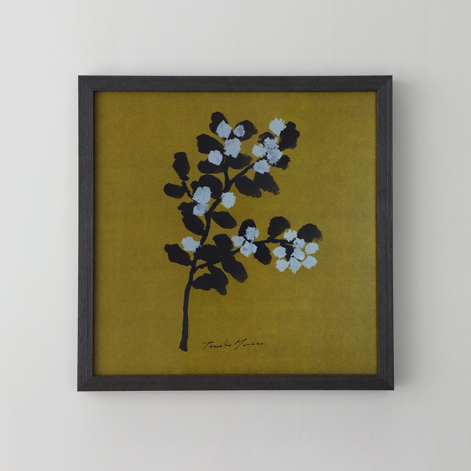 mimosa(ミモザ)brown フレームセット - a good view