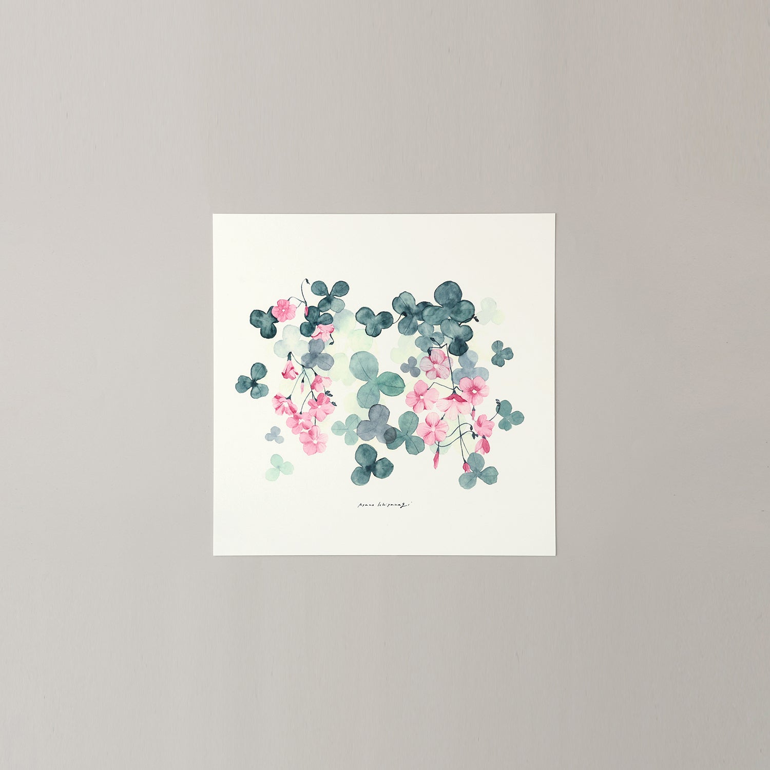 OXALIS(オキザリス)violet - a good view