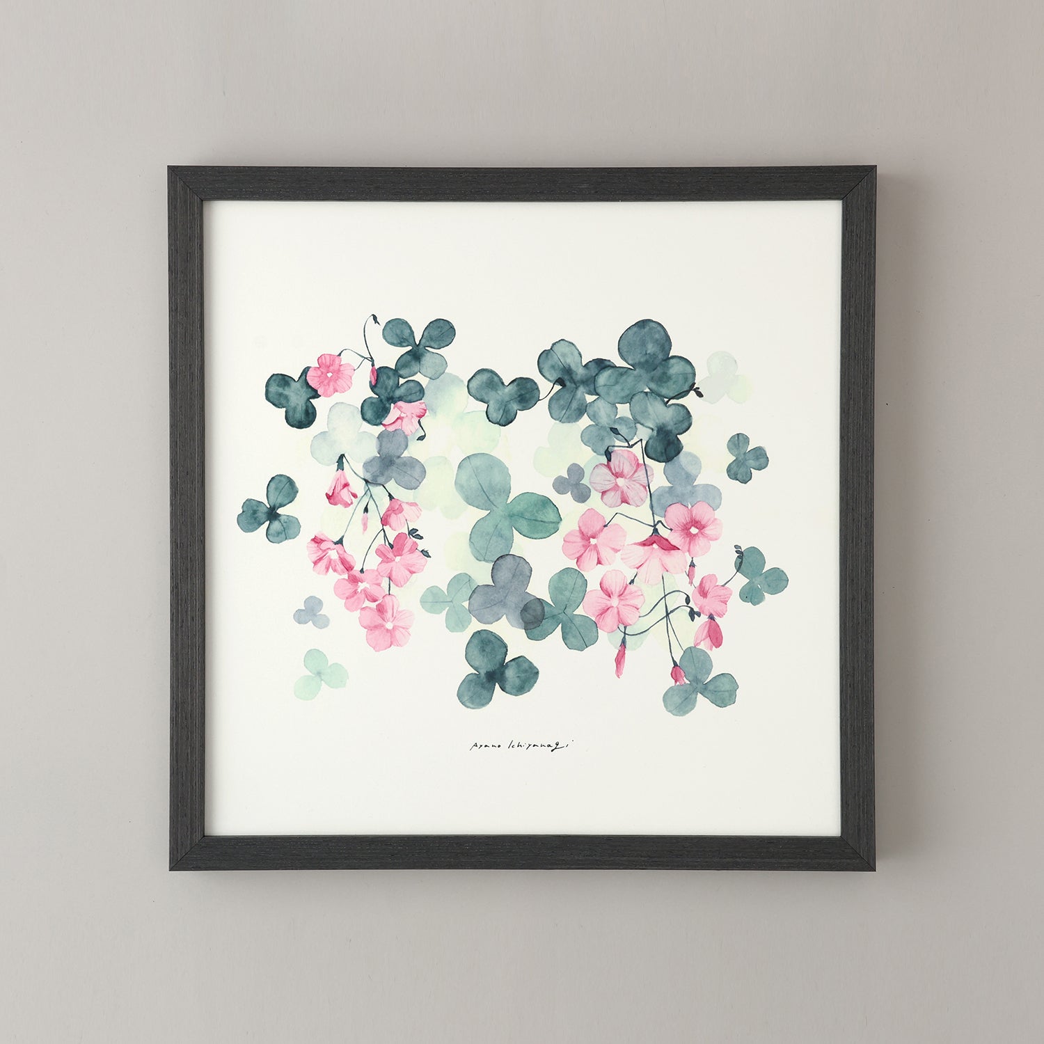 OXALIS(オキザリス)violet フレームセット - a good view