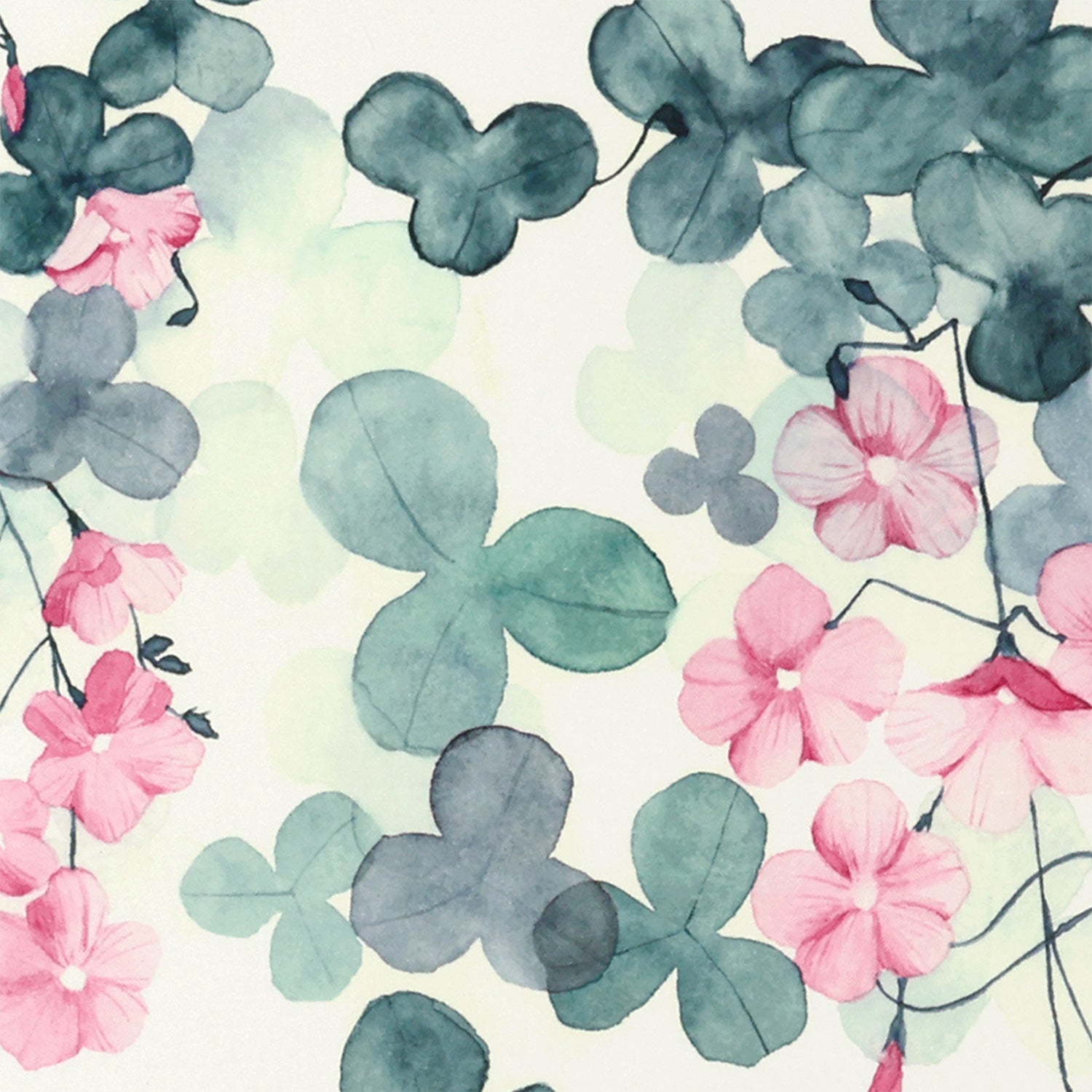 OXALIS(オキザリス)violet - a good view