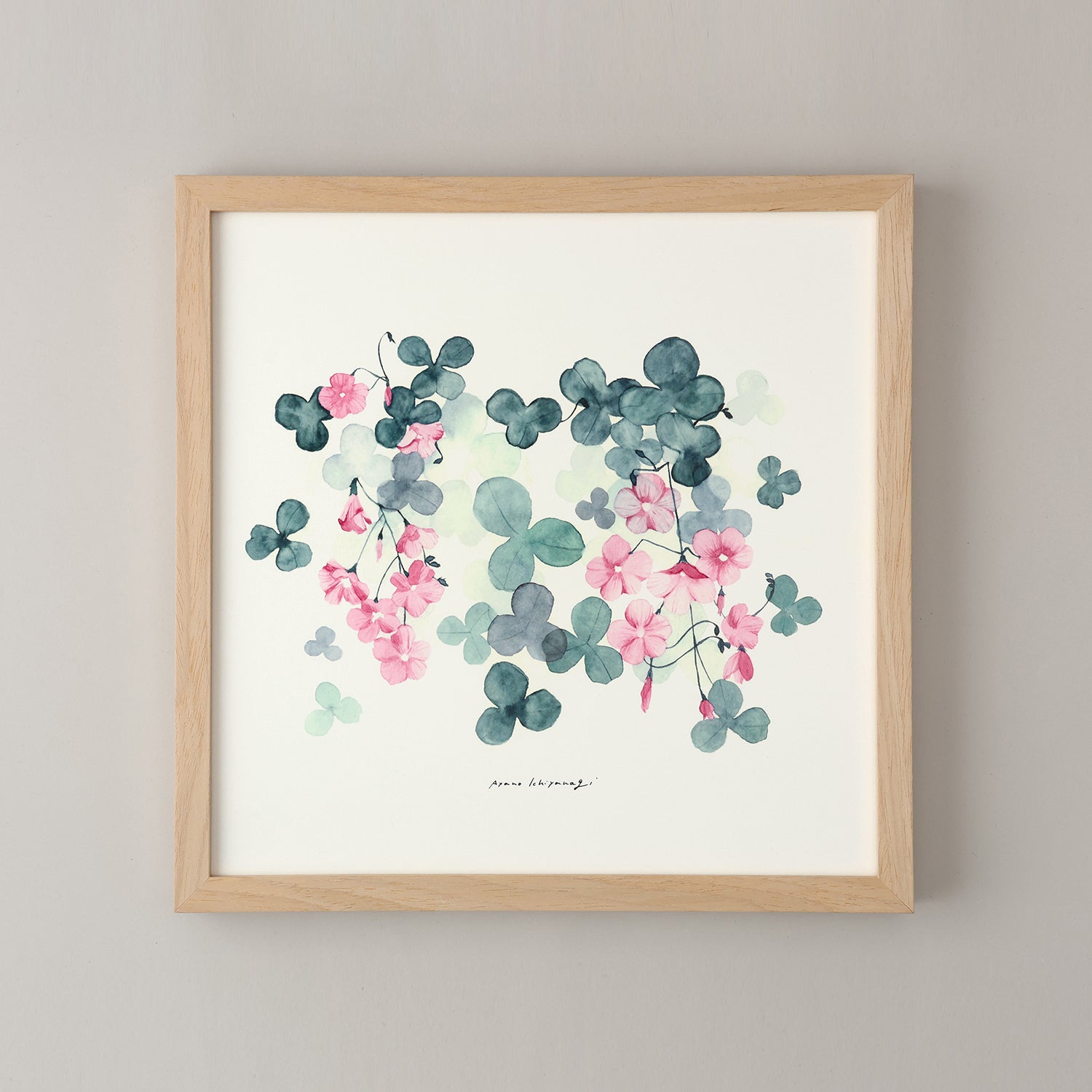 OXALIS(オキザリス)violet フレームセット - a good view