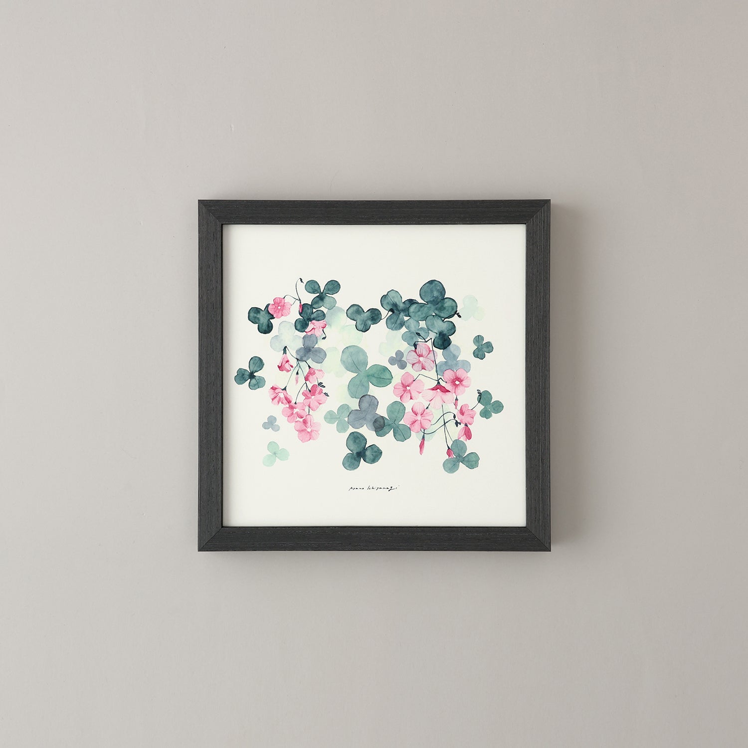 OXALIS(オキザリス)violet フレームセット - a good view