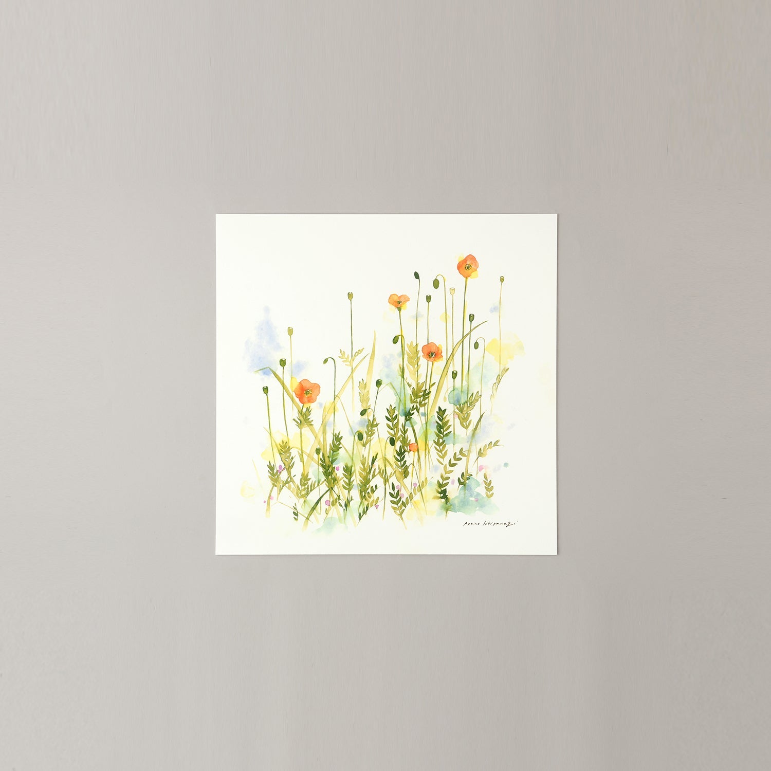 WILDFLOWERS(ワイルドフラワー)vermillion - a good view