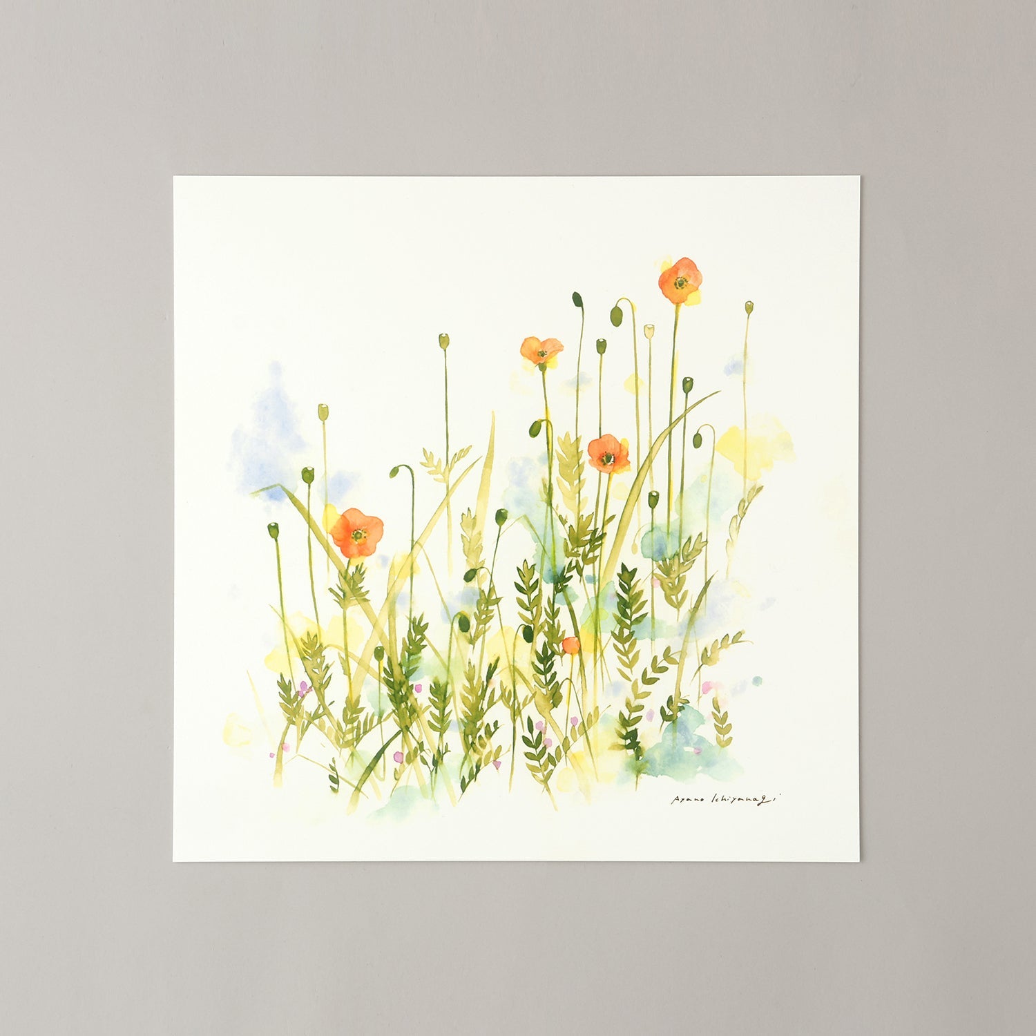 WILDFLOWERS(ワイルドフラワー)vermillion - a good view