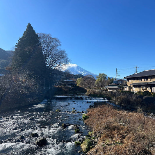 作家の深堀りコラム｜触れたくなる“塊”を描く。吉本悠美