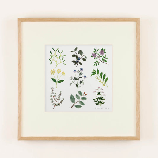 静物画・植物画・室内画の違いとは？ ～ それぞれの特徴と魅力 ～