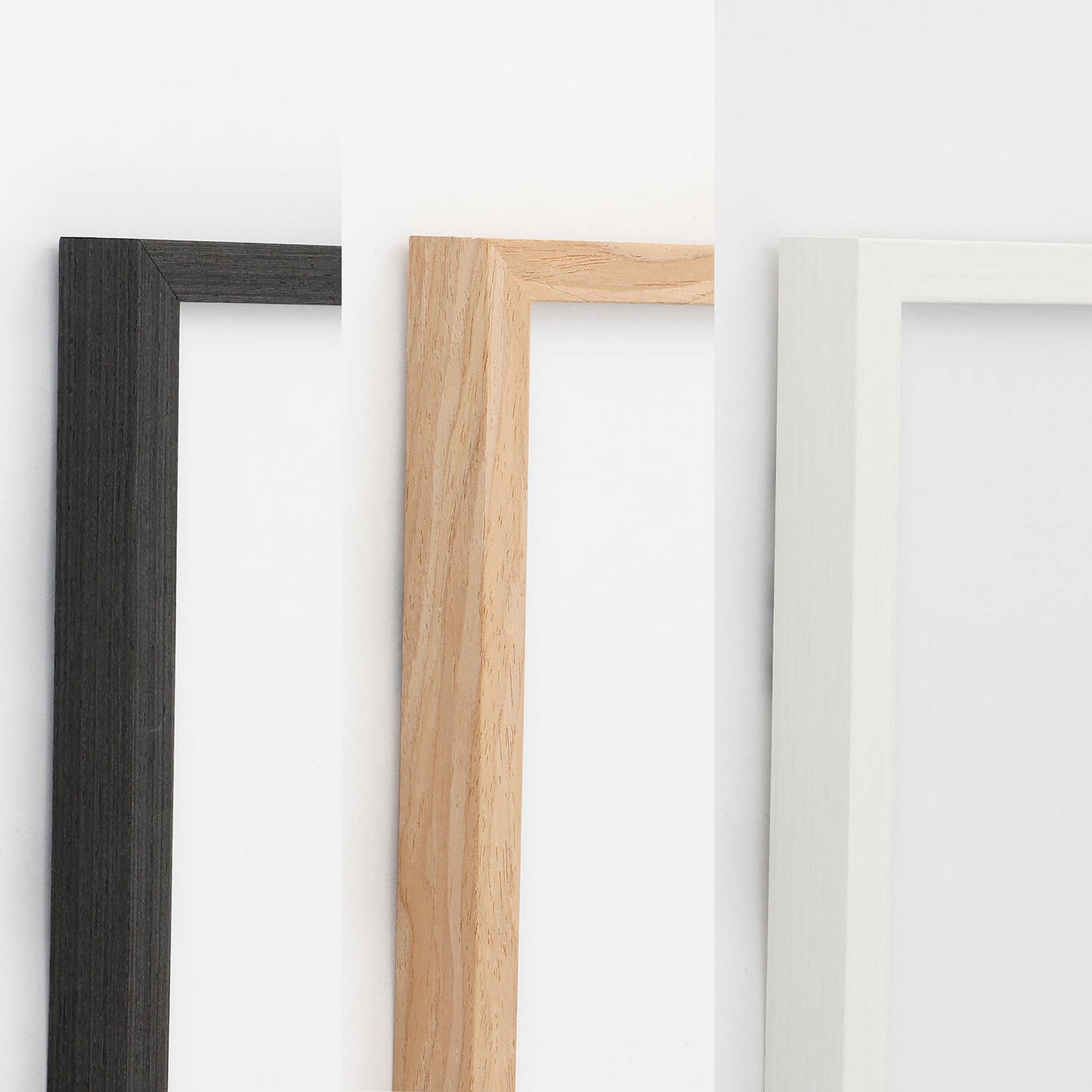 Botanicals（ボタニカル ） フレームセット