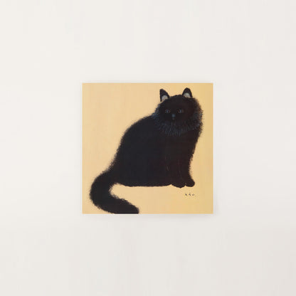 the black cat at home