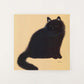 the black cat at home