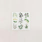 PLANTS（プランツ）