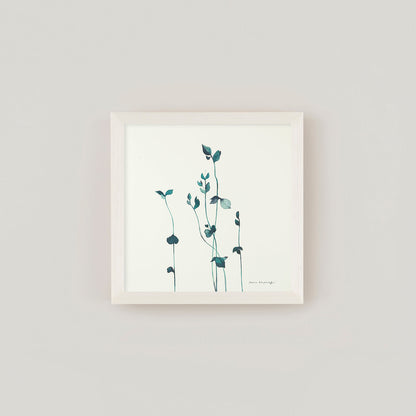 SPROUT green frame set
