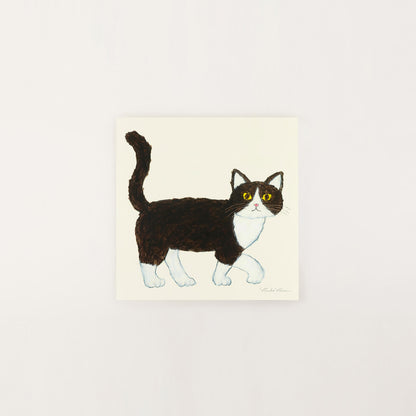 Hachiware (a type of Japanese cat)