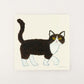 Hachiware (a type of Japanese cat)
